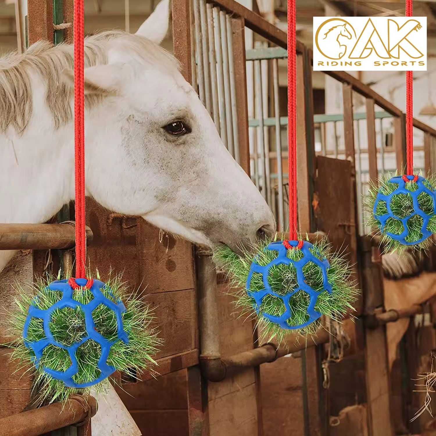 AK Horse Treat Feeder Ball